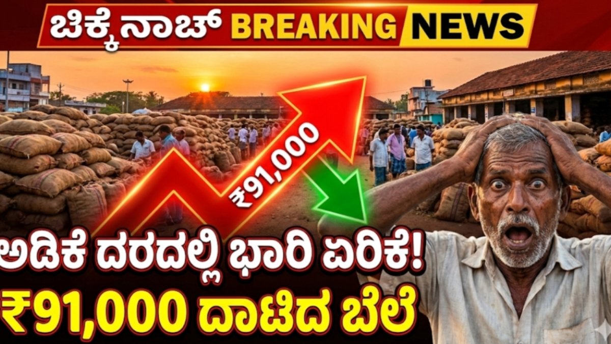 ಕರ್ನಾಟಕದ ಅಡಿಕೆ ಮಾರುಕಟ್ಟೆಯಲ್ಲಿ ಇಂದು ಭಾರೀ ಏರಿಳಿತ