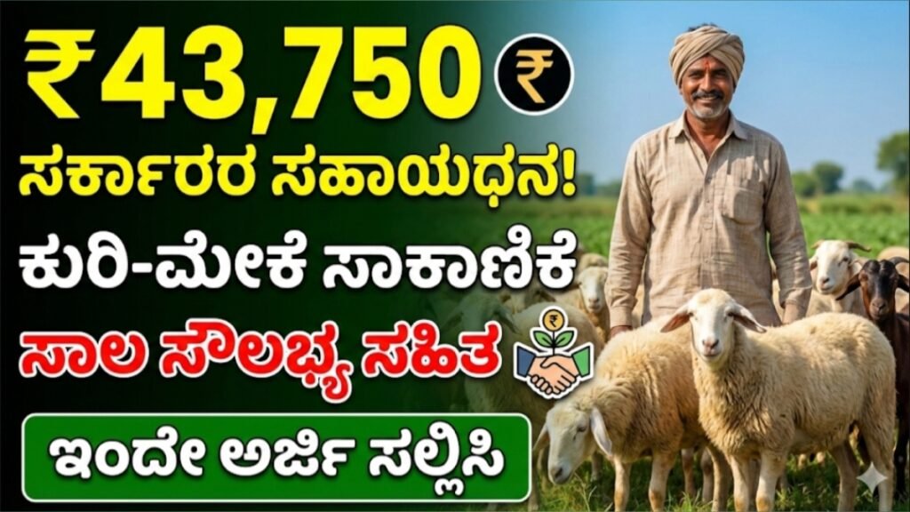 Sheep - Goat Farming Subsidy Loan