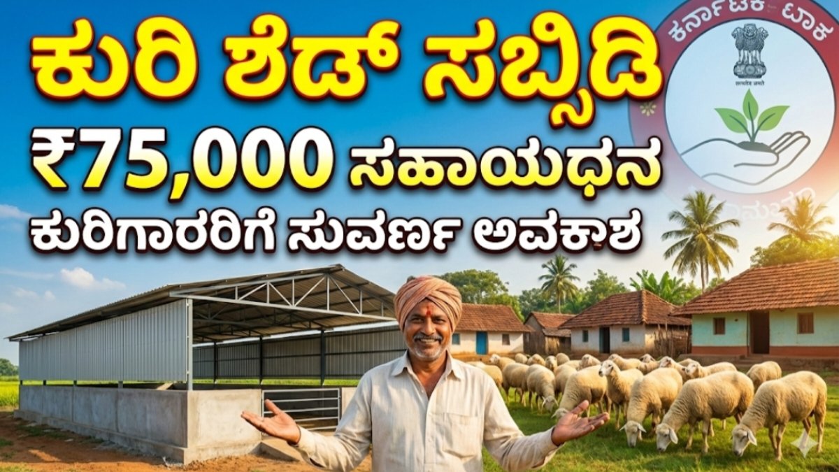 Sheep Shed Subsidy Loan